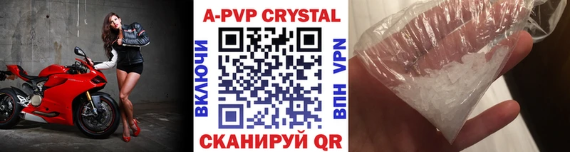 Альфа ПВП СК КРИС  Темников 