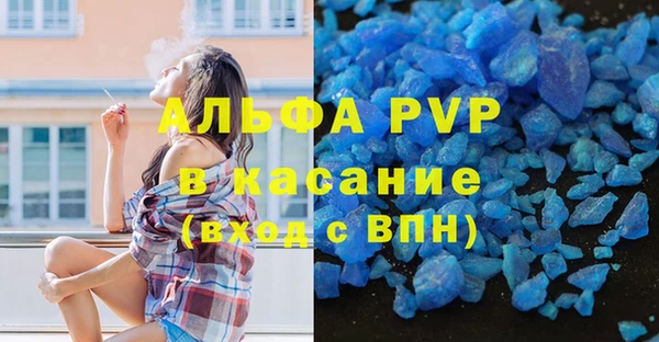 ECSTASY Ладушкин