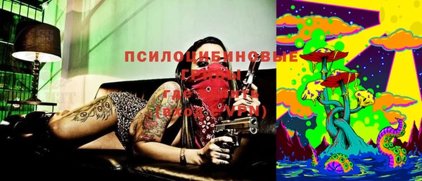 СК Липки
