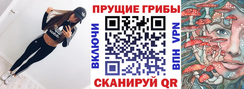 Псилоцибиновые грибы прущие грибы  закладка  Темников 